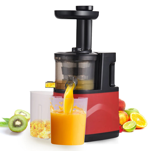 Juicer Machines Slow Masticating Juicer Extractor Cold Press Juicer Easy to Clean Brush Quiet Motor for Vegetables Fruits